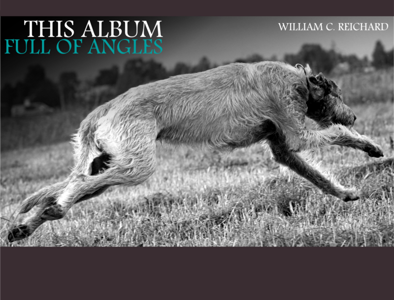 Featured Review: This Album Full of Angles by William Reichard